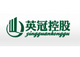 英冠控股